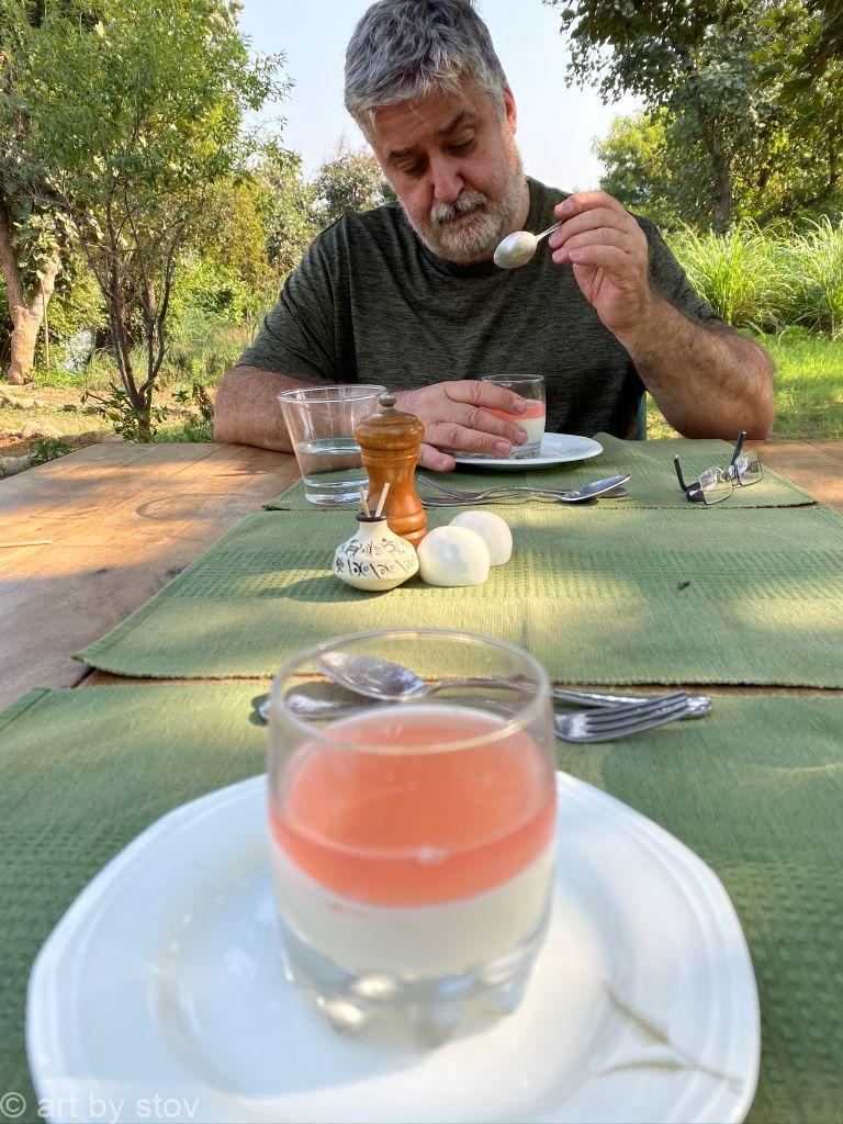 Campari pudding