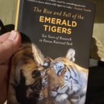 Tigers of the Emerald Forest