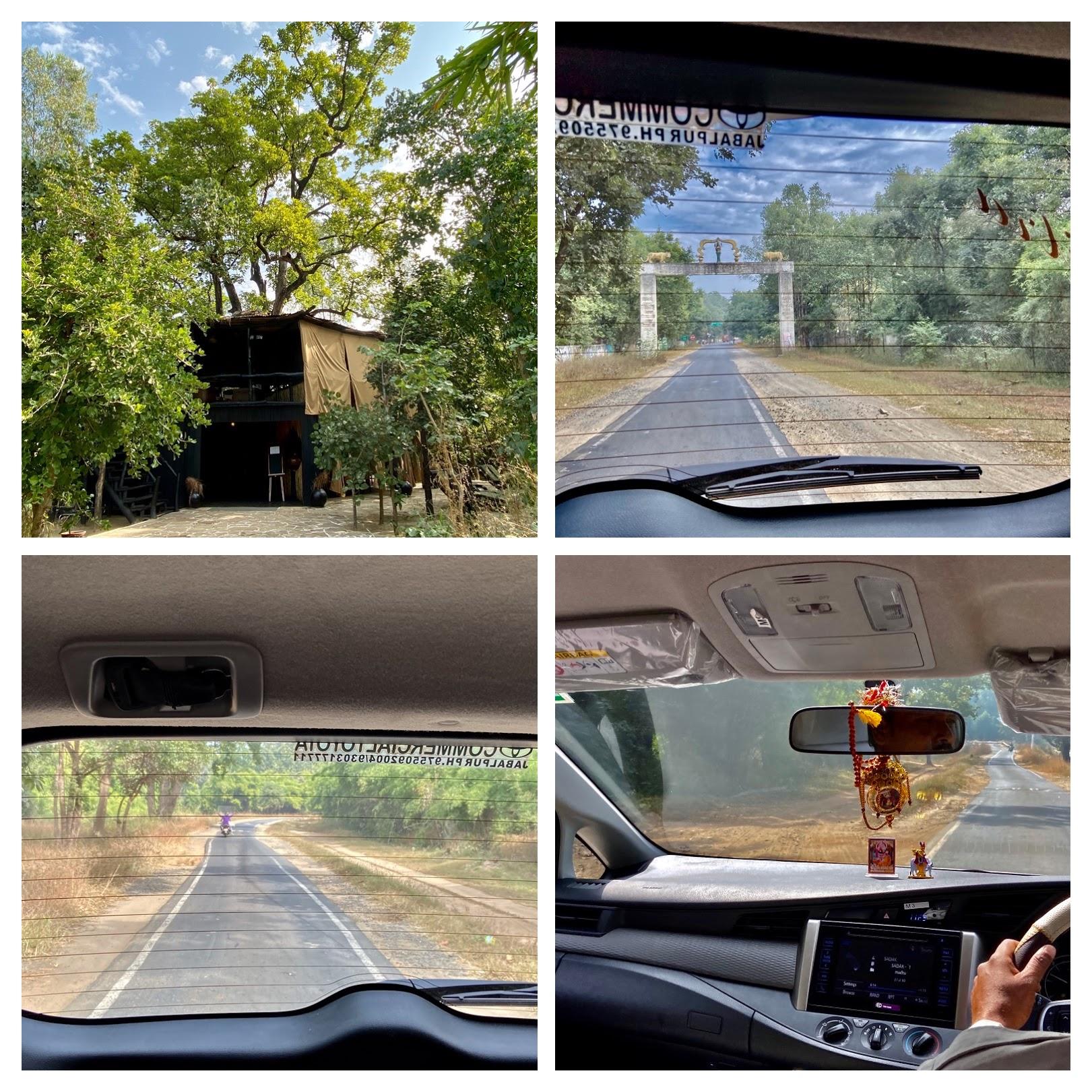 collage leaving Bandhavgarh