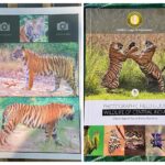 collage Tiger and Wildlife guides at Treehouse hideaway